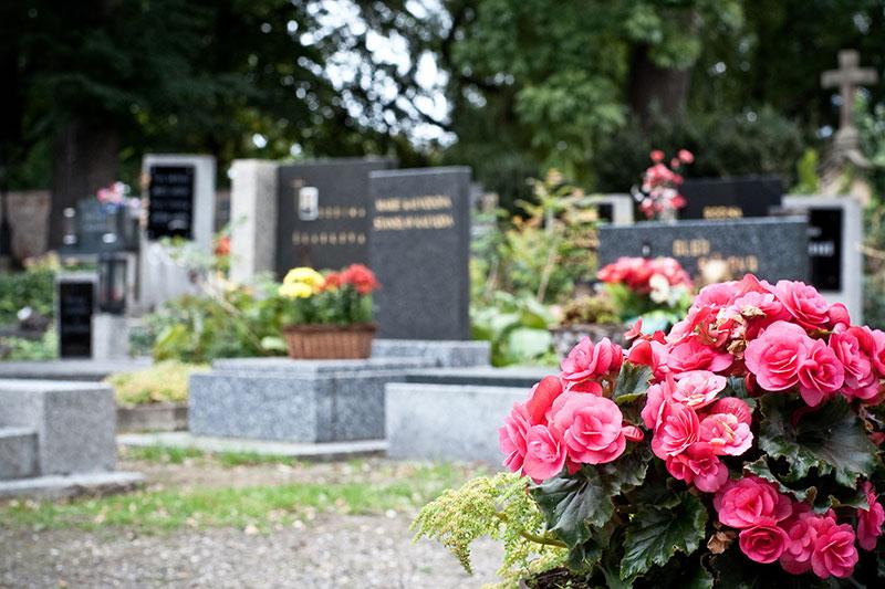 SMAB - assurance monuments funéraires pour les particuliers à Dijon